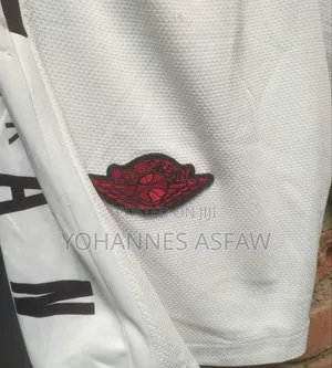Air Jordan Graphic Mesh Basketball Shorts (White / Red / Black)