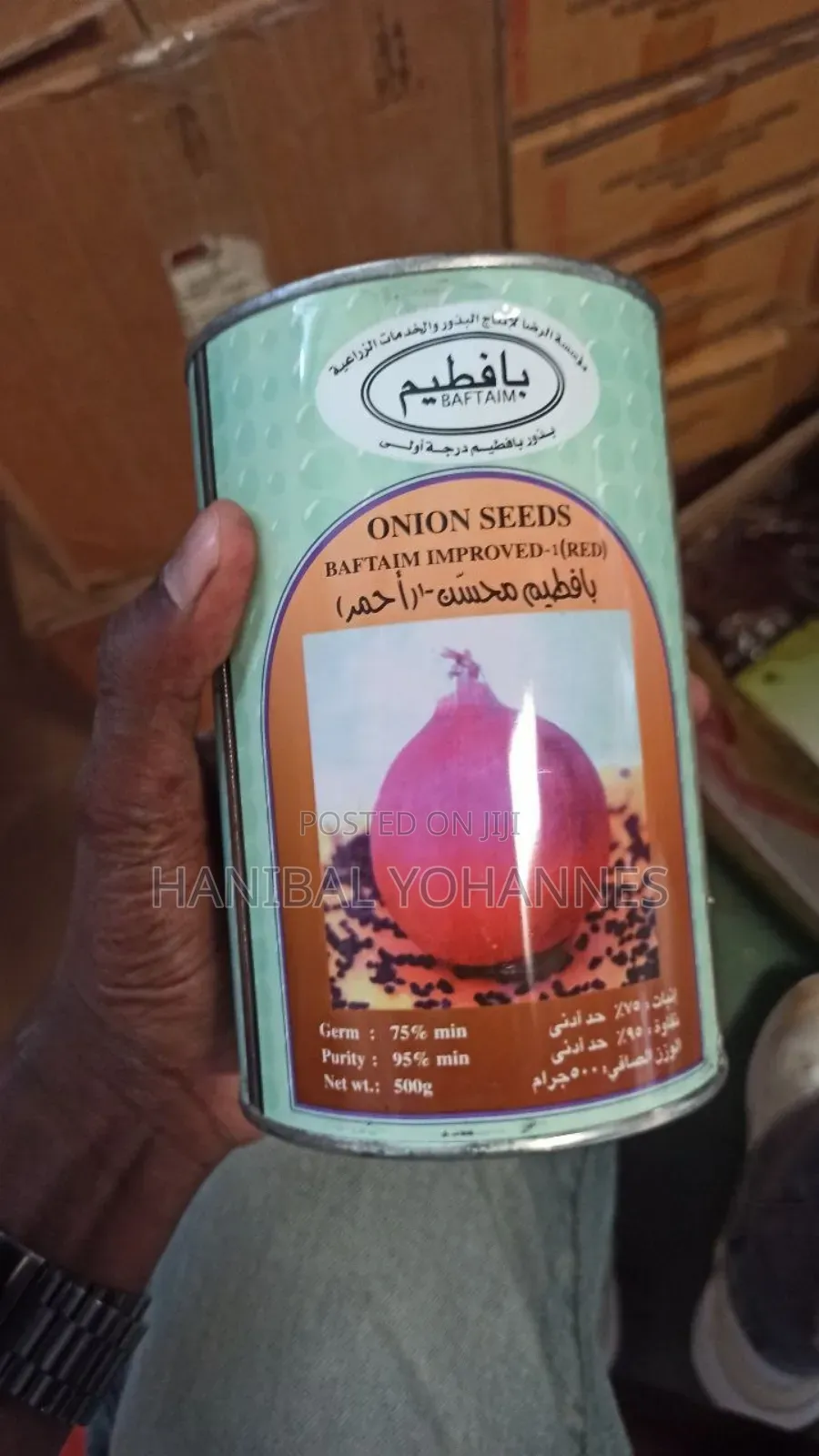 Onion Seed