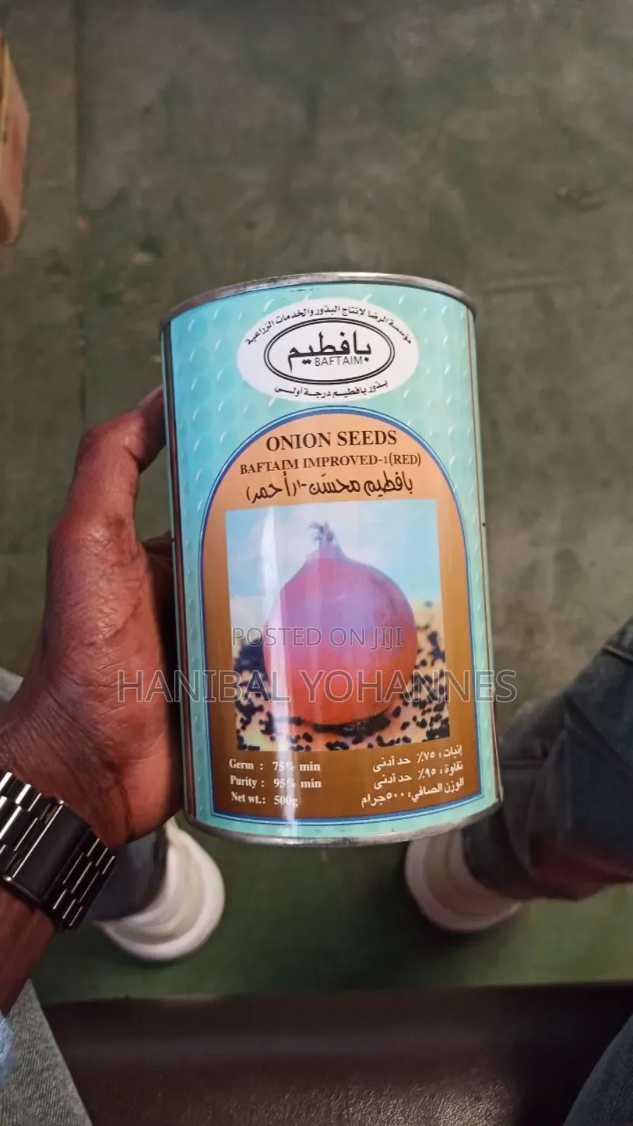 Onion Seed