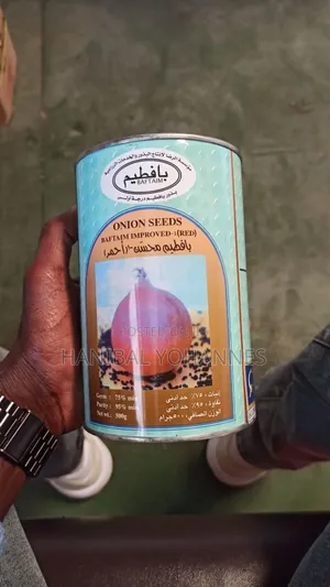 Onion Seed