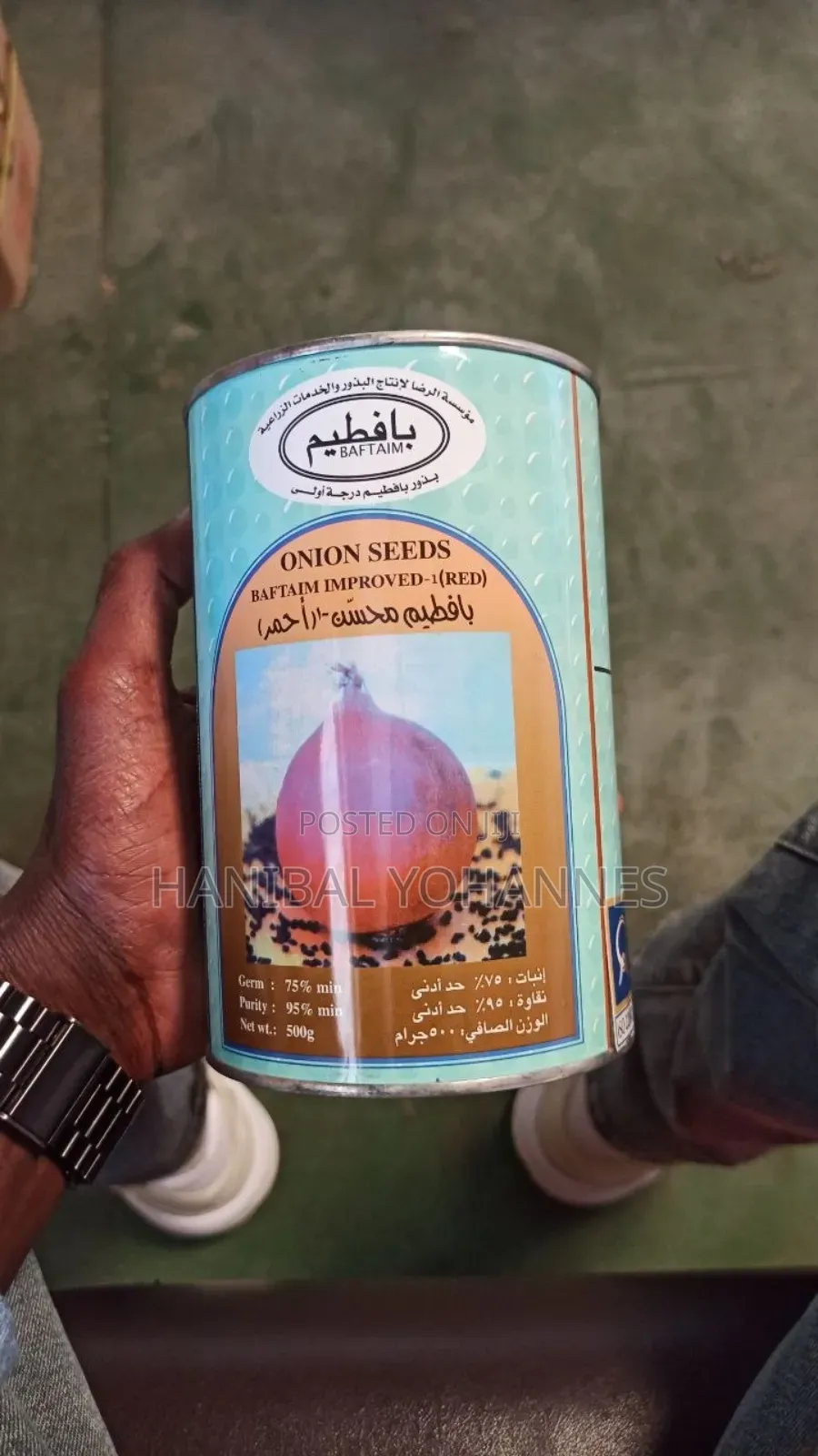 Onion Seed