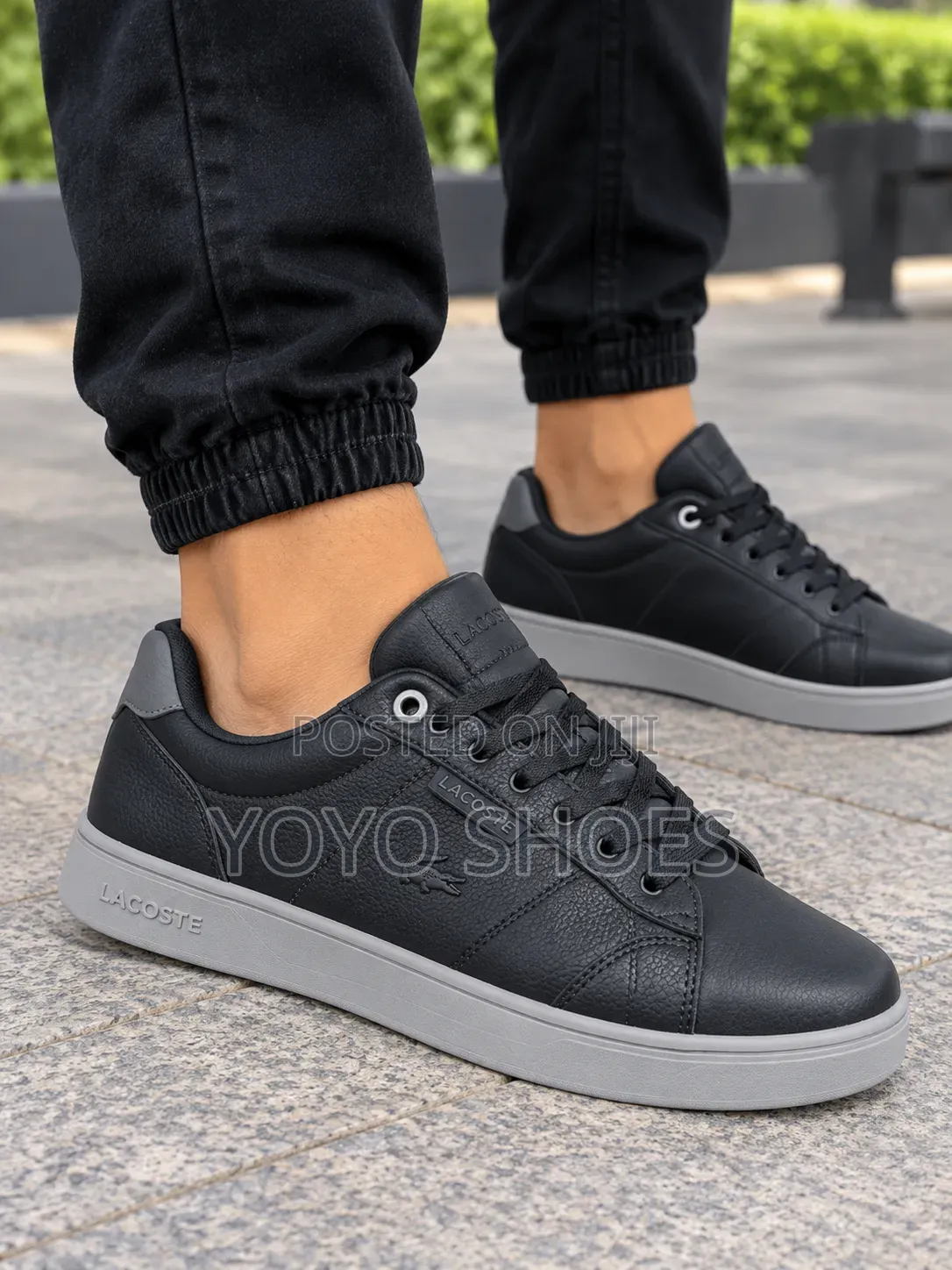 Lacoste Low-Top Casual Leather Black/Gray Unisex Fashion Sneaker Shoe