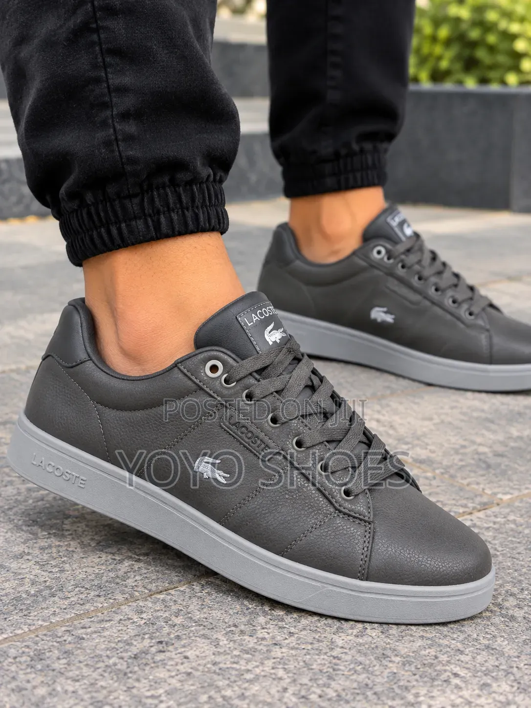 Lacoste Low-Top Casual Leather Gray Men's Fashion Sneaker Shoe
