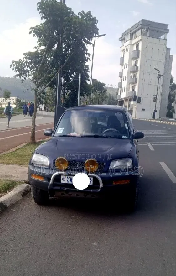 Toyota RAV4 1995 Blue