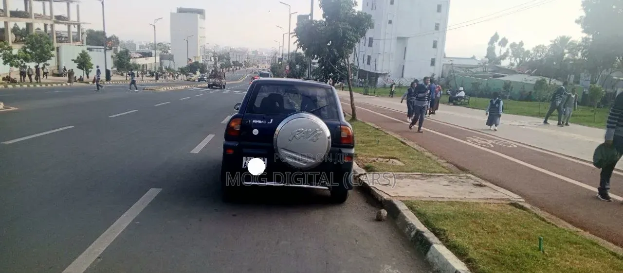 Toyota RAV4 1995 Blue