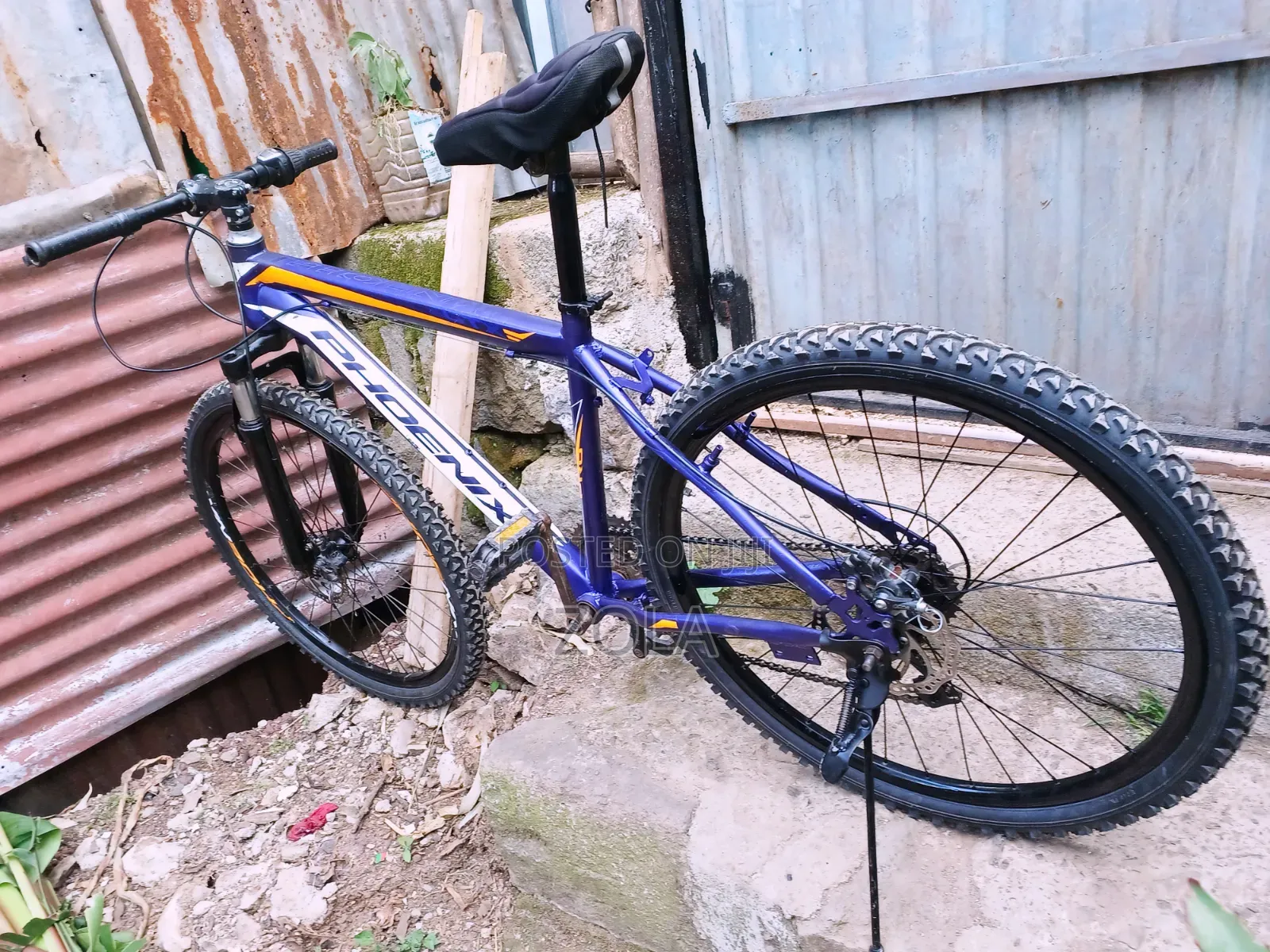 ሳይክል Bike Phoenix