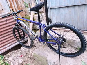 ሳይክል Bike Phoenix