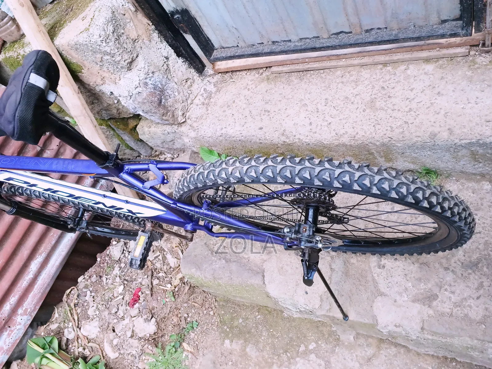 ሳይክል Bike Phoenix