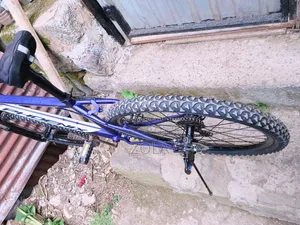 ሳይክል Bike Phoenix