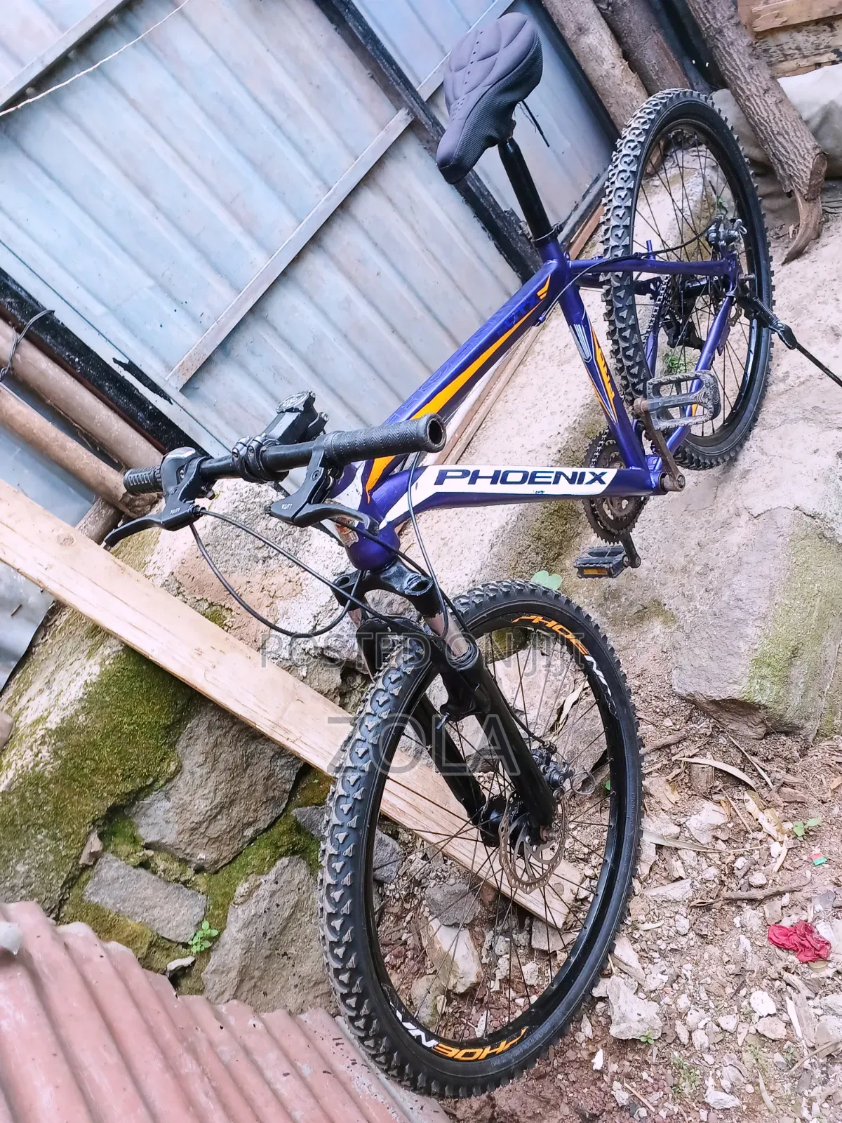 ሳይክል Bike Phoenix