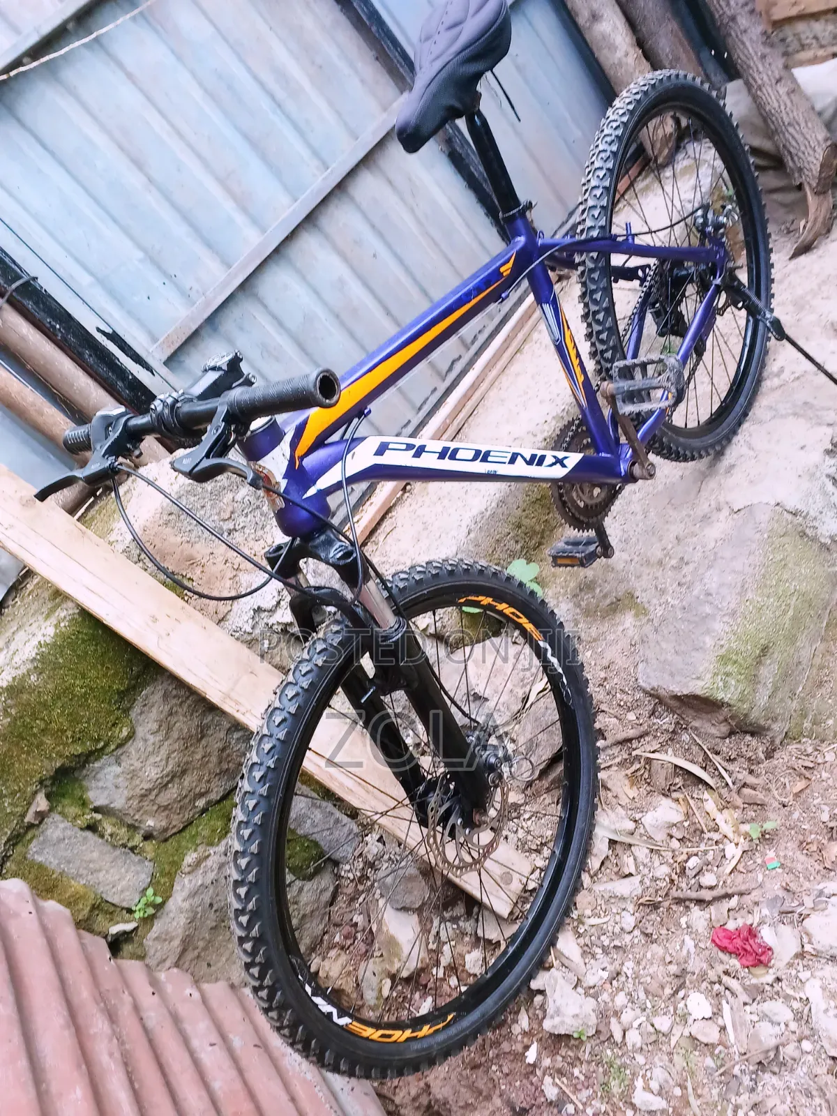 ሳይክል Bike Phoenix