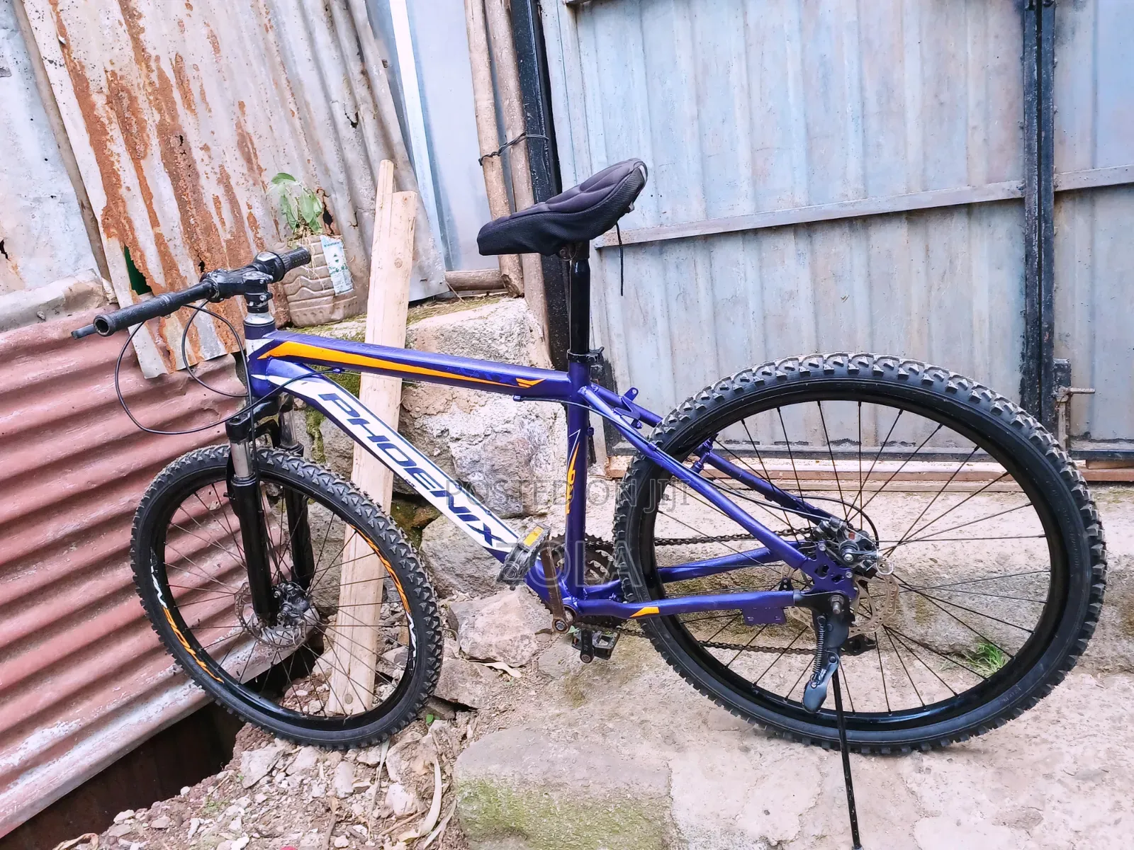 ሳይክል Bike Phoenix