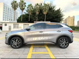 New BYD Yuan Plus 2025 Gray