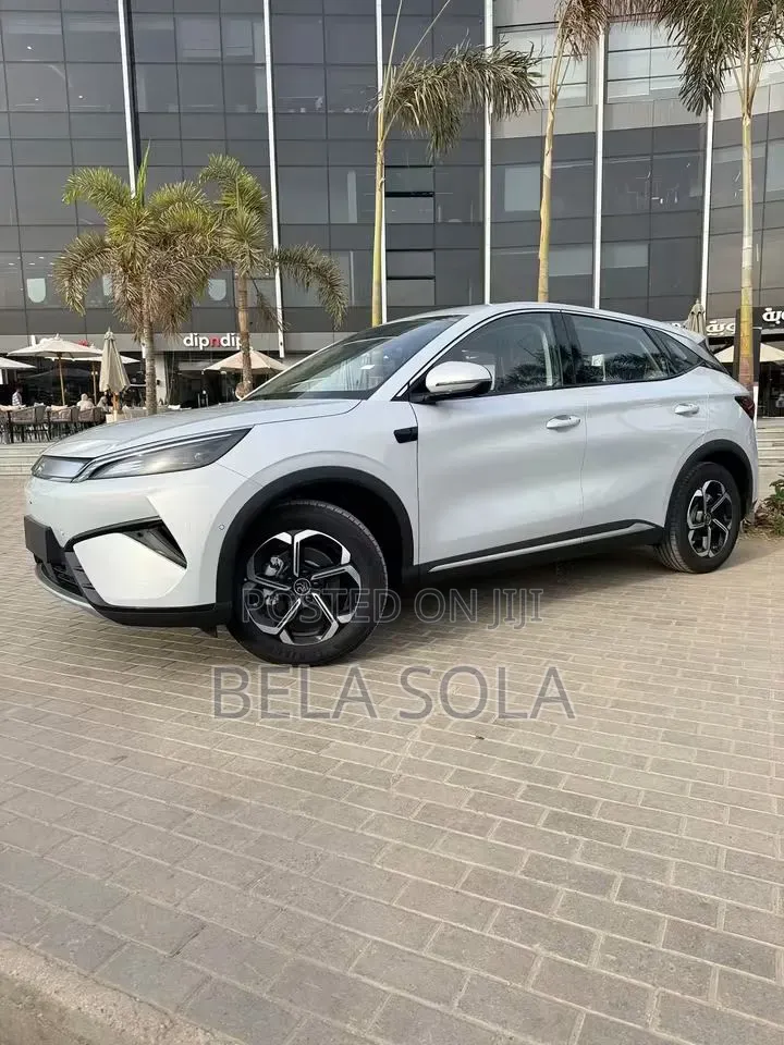 New BYD Yuan Plus 2025 Gray