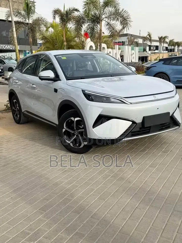 New BYD Yuan Plus 2025 Gray