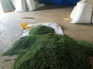Moringa Powder