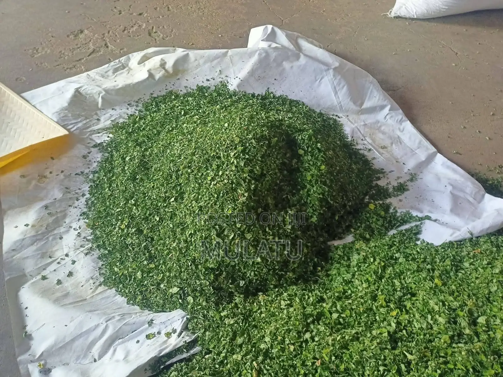 Moringa Powder