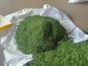 Moringa Powder