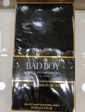 Photo - Good Girl With Bad Boy