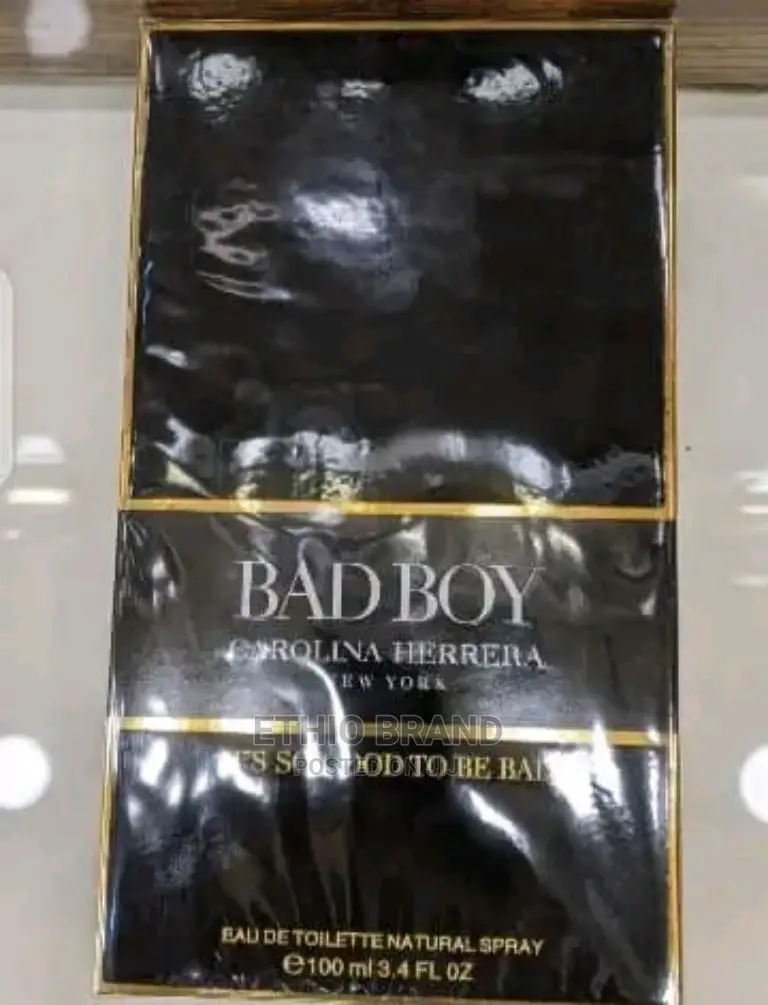 Good Girl With Bad Boy