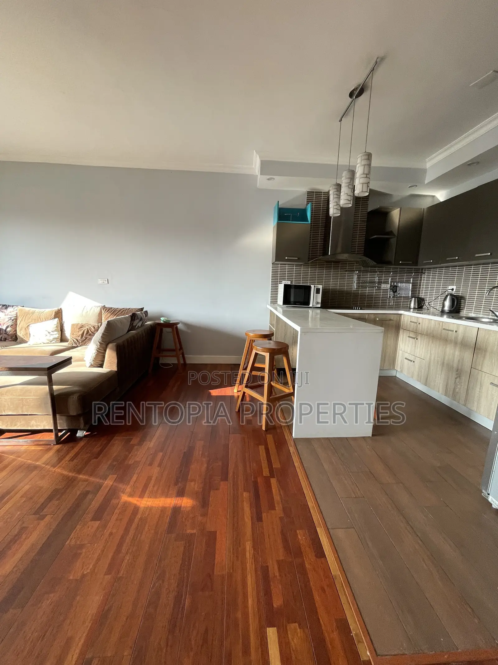 Furnished 2bdrm Apartment in Bole for rent