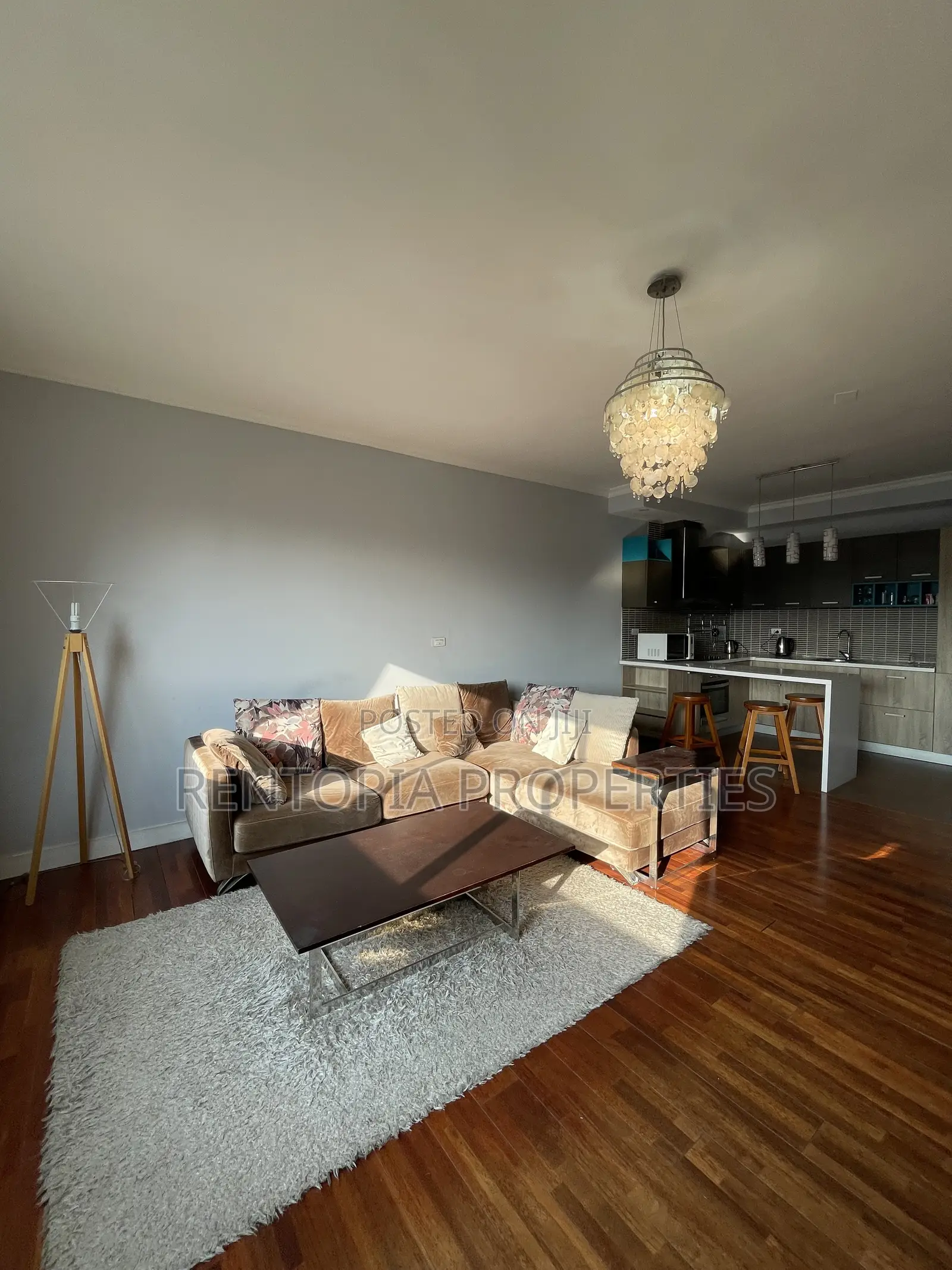 Furnished 2bdrm Apartment in Bole for rent