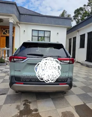 New Toyota RAV4 2023 Gray