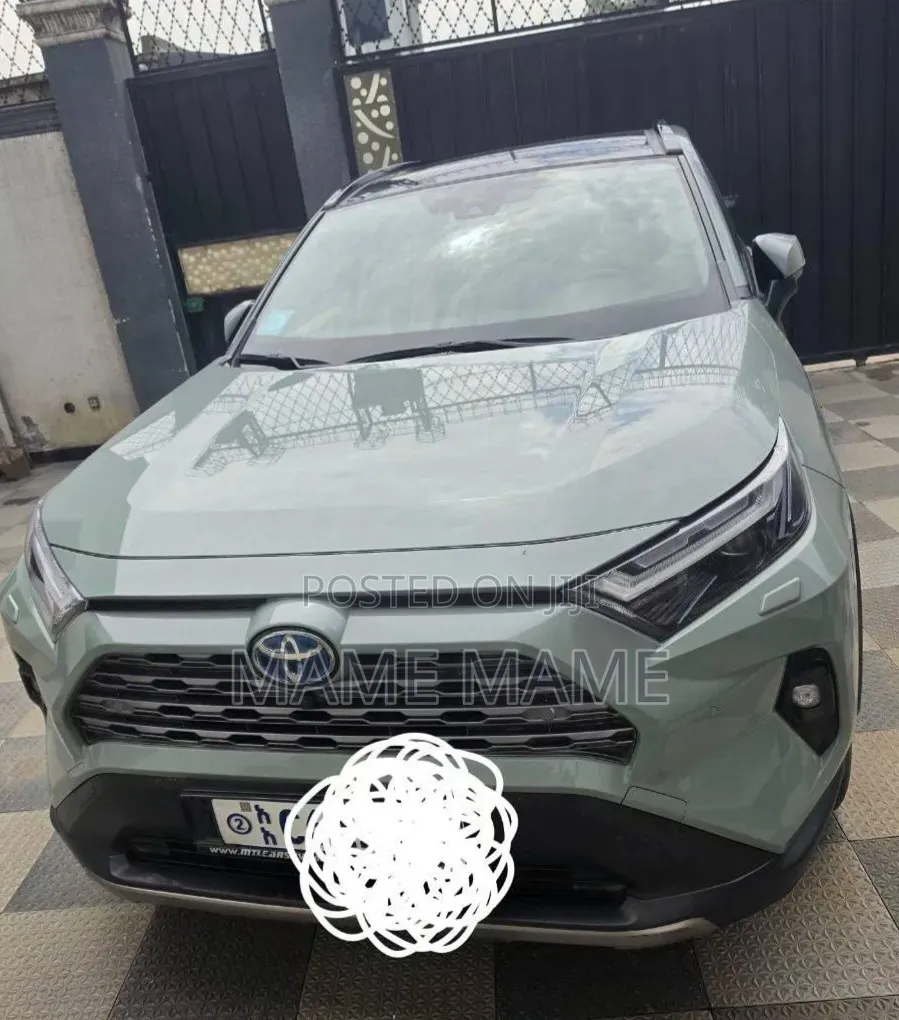 New Toyota RAV4 2023 Gray