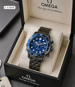 Omega Seamaster Professional Men's Watch