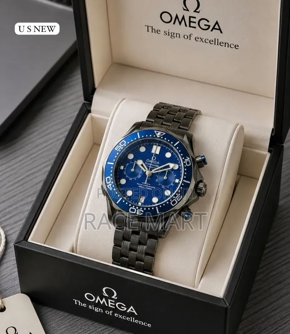 Omega Seamaster Professional Men's Watch