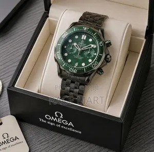 Omega Seamaster Professional Men's Watch
