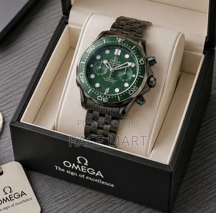 Omega Seamaster Professional Men's Watch