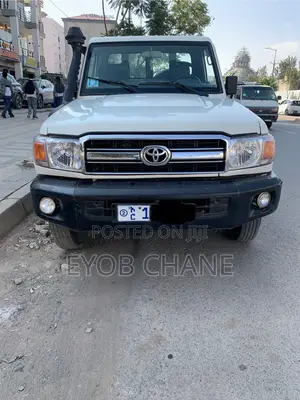 Toyota Land Cruiser 2009 Gray