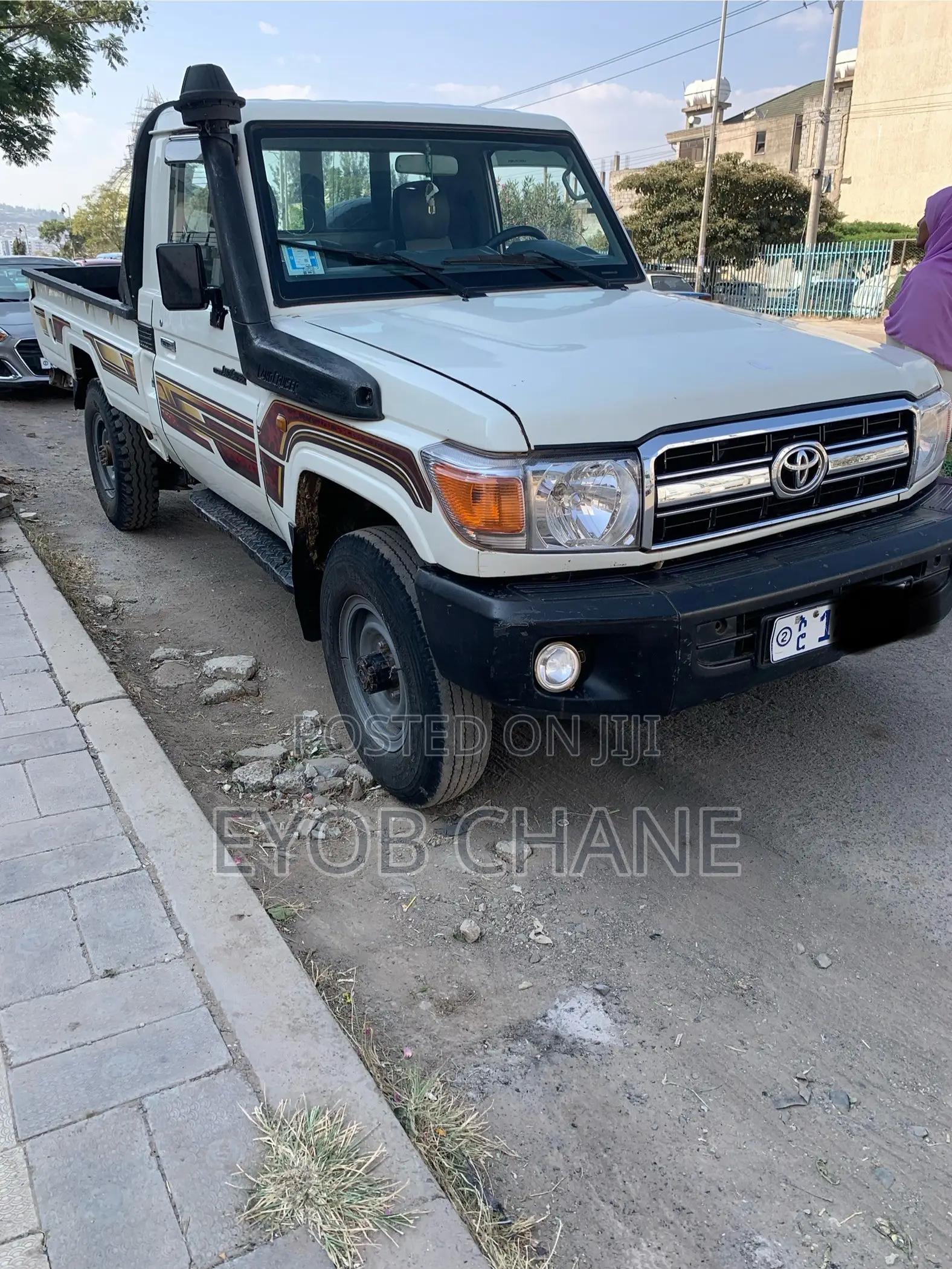 Toyota Land Cruiser 2009 Gray