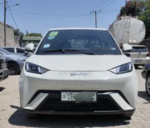 BYD Seagull 2024 White