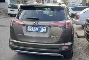 Toyota RAV4 2017 Gray
