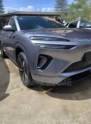 New BYD Sealion 06 EV 2025 Gray
