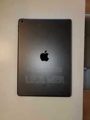 Apple iPad 10.2 (2020) 32 GB Gray