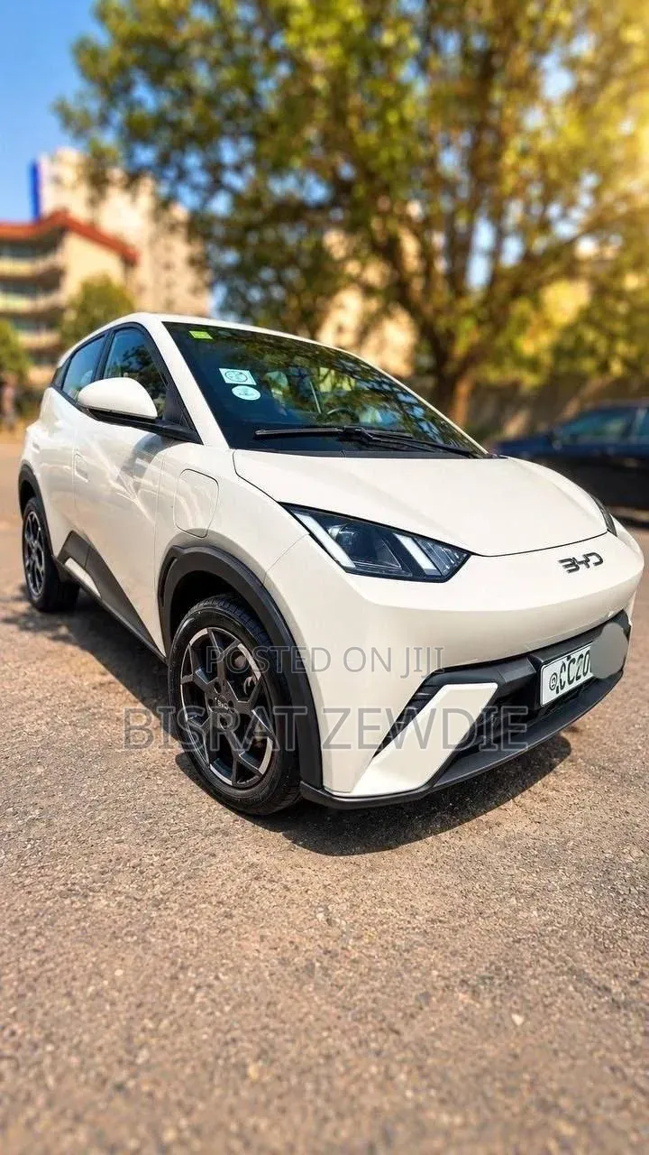 BYD Seagull 2025 White