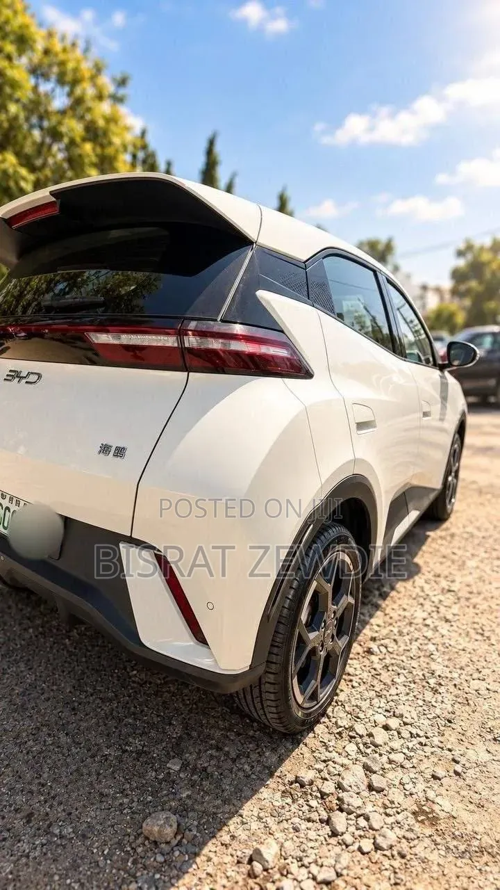 BYD Seagull 2025 White