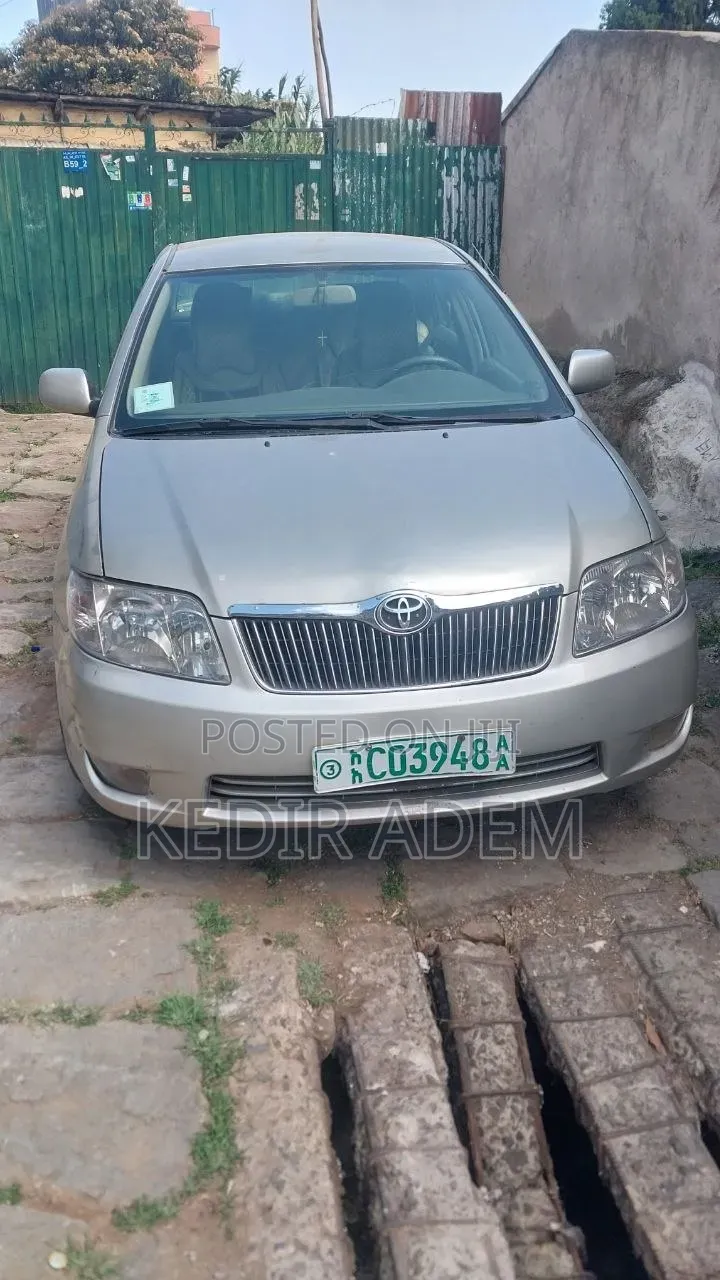 Toyota Corolla 2007 Gray