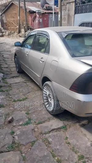 Toyota Corolla 2007 Gray