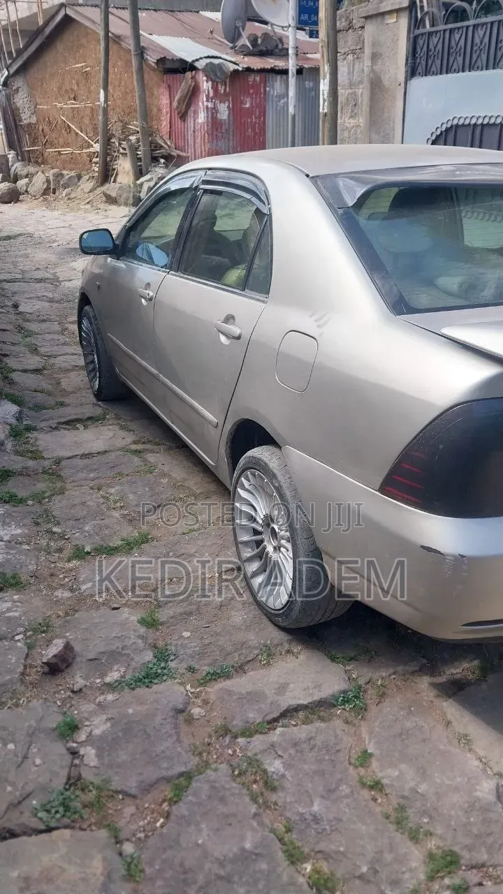 Toyota Corolla 2007 Gray