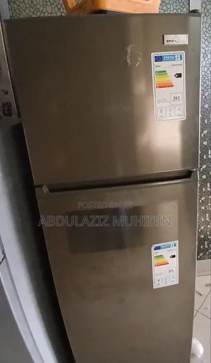 Smart Home 420 Best Cooler Fridge