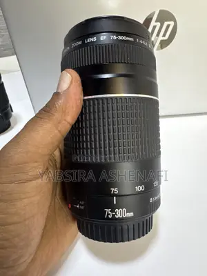Canon 75-300mm Lens