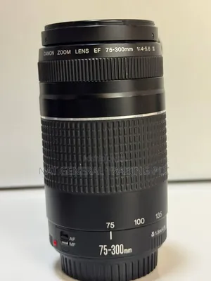 Canon 75-300mm Lens