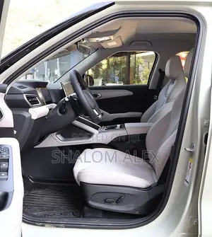 2025 Full Smart BYD YUAN UP