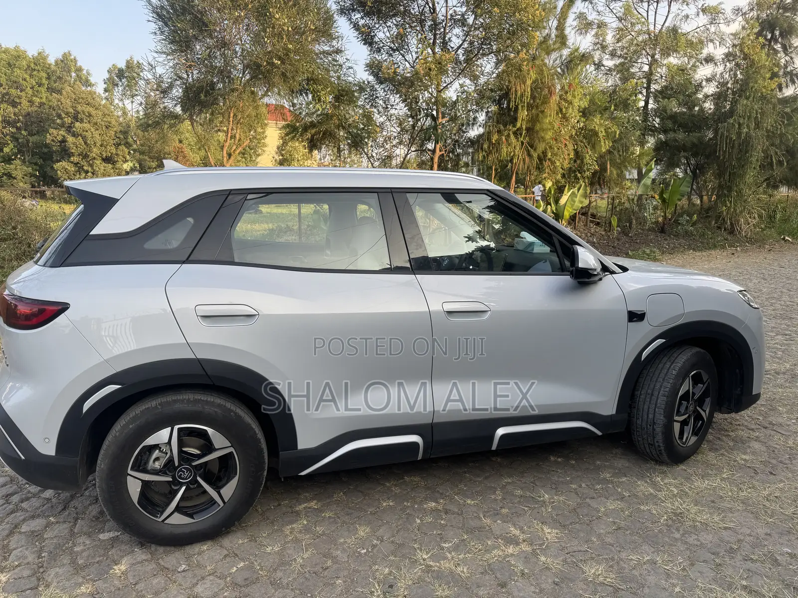 2025 Full Smart BYD YUAN UP