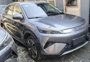 BYD Yuan Plus 2025 Gray