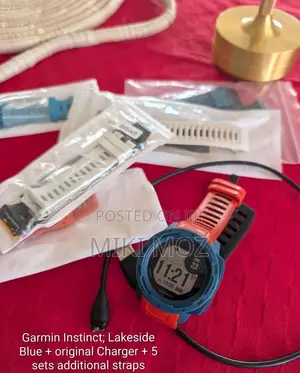 Garmin Instinct